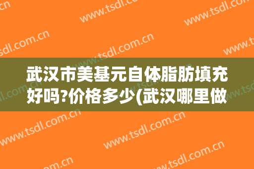 武汉市美基元自体脂肪填充好吗?价格多少(武汉哪里做脂肪填充好)