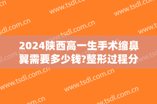 2024陕西高一生手术缩鼻翼需要多少钱?整形过程分享(西安鼻翼缩小手术价格)