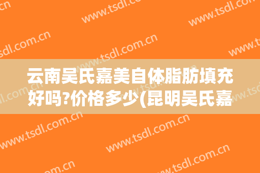 云南吴氏嘉美自体脂肪填充好吗?价格多少(昆明吴氏嘉美抽脂)