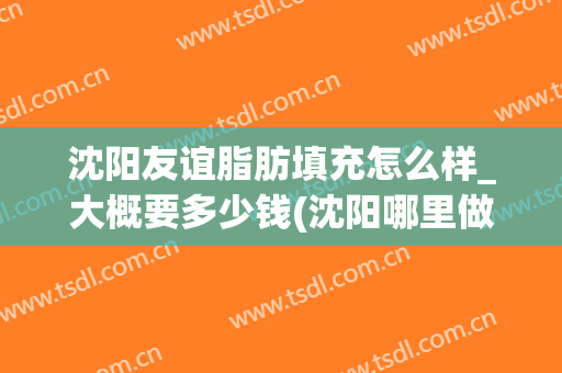 沈阳友谊脂肪填充怎么样_大概要多少钱(沈阳哪里做脂肪填充好)