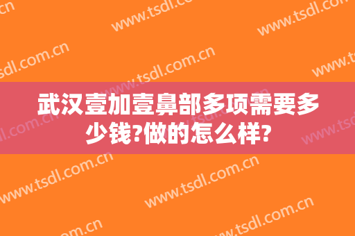 武汉壹加壹鼻部多项需要多少钱?做的怎么样?