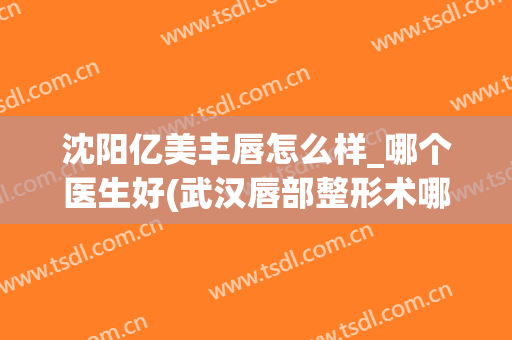 沈阳亿美丰唇怎么样_哪个医生好(武汉唇部整形术哪家医院好)