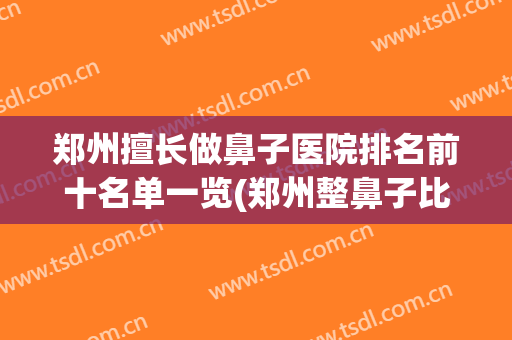 郑州擅长做鼻子医院排名前十名单一览(郑州整鼻子比较好的医生)