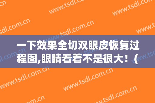 一下效果全切双眼皮恢复过程图,眼睛看着不是很大！(失败的全切双眼皮图片)