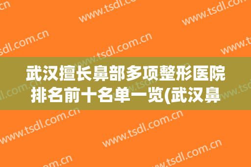 武汉擅长鼻部多项整形医院排名前十名单一览(武汉鼻子整形最好的医院)