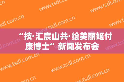 “技·汇宸山共·绘美丽姬付康博士”新闻发布会