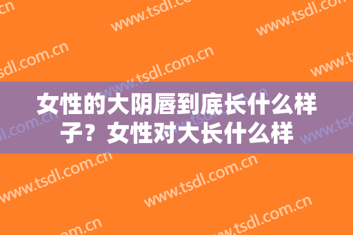 女性的大阴唇到底长什么样子？女性对大长什么样