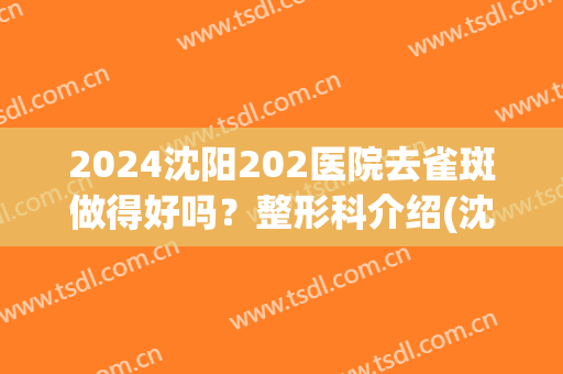 2024沈阳202医院去雀斑做得好吗？整形科介绍(沈阳202医院整形科怎么样)