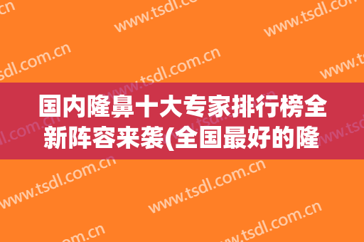 国内隆鼻十大专家排行榜全新阵容来袭(全国最好的隆鼻专家)