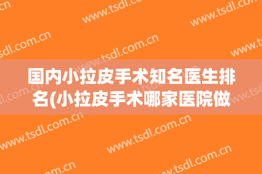 国内小拉皮手术知名医生排名(小拉皮手术哪家医院做的好)