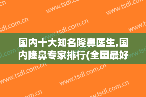 国内十大知名隆鼻医生,国内隆鼻专家排行(全国最好的隆鼻专家)
