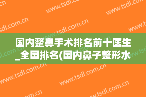 国内整鼻手术排名前十医生_全国排名(国内鼻子整形水平最好的医生)
