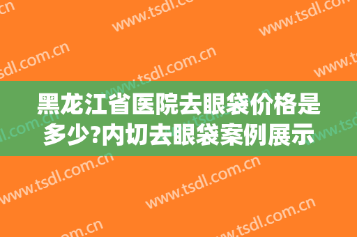黑龙江省医院去眼袋价格是多少?内切去眼袋案例展示2024(哈医大去眼袋手术多少钱)