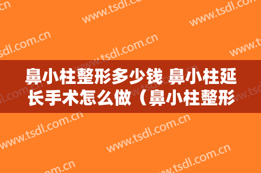 鼻小柱整形多少钱 鼻小柱延长手术怎么做（鼻小柱整形一般多少钱）