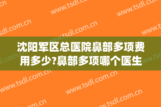 沈阳军区总医院鼻部多项费用多少?鼻部多项哪个医生好(沈阳陆军总院做鼻子) 沈阳军区总医院鼻部多项费用多少?鼻部多项哪个医生好(沈阳陆军总院做鼻子)