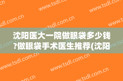沈阳医大一院做眼袋多少钱?做眼袋手术医生推荐(沈阳哪家医院做眼袋好)