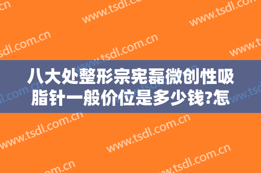八大处整形宗宪磊微创性吸脂针一般价位是多少钱?怎么样?