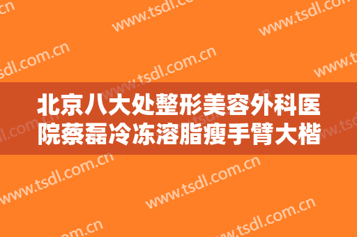 北京八大处整形美容外科医院蔡磊冷冻溶脂瘦手臂大楷需要多少费用?怎么样?