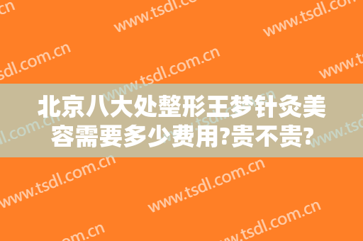 北京八大处整形王梦针灸美容需要多少费用?贵不贵?