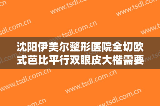 沈阳伊美尔整形医院全切欧式芭比平行双眼皮大楷需要多少钱?效果怎么样?