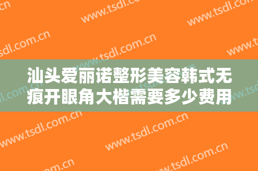 汕头爱丽诺整形美容韩式无痕开眼角大楷需要多少费用?有哪些优势?