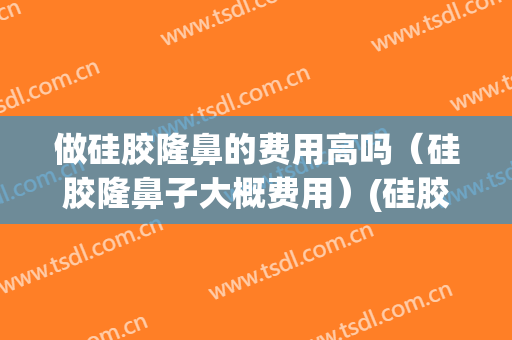 做硅胶隆鼻的费用高吗（硅胶隆鼻子大概费用）(硅胶隆鼻一般多少钱)