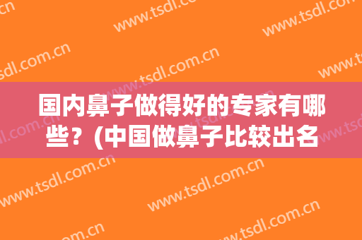 国内鼻子做得好的专家有哪些？(中国做鼻子比较出名的医生)