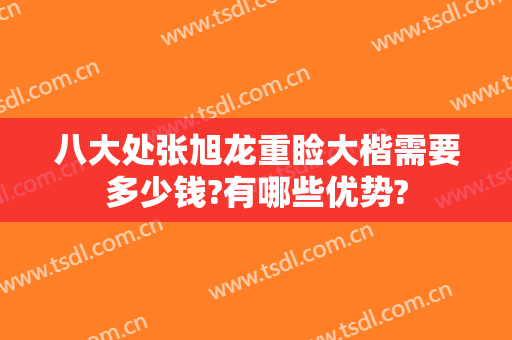 八大处张旭龙重睑大楷需要多少钱?有哪些优势?