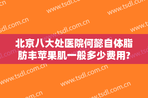 北京八大处医院何懿自体脂肪丰苹果肌一般多少费用?好不好?