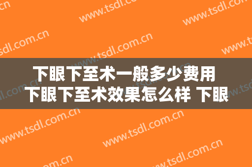下眼下至术一般多少费用 下眼下至术效果怎么样 下眼下至术案例图片