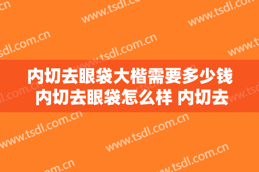 内切去眼袋大楷需要多少钱 内切去眼袋怎么样 内切去眼袋真实案例
