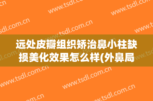 远处皮瓣组织矫治鼻小柱缺损美化效果怎么样(外鼻局部皮瓣修复适用的缺损范围)