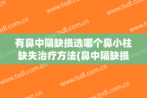 有鼻中隔缺损选哪个鼻小柱缺失治疗方法(鼻中隔缺损)