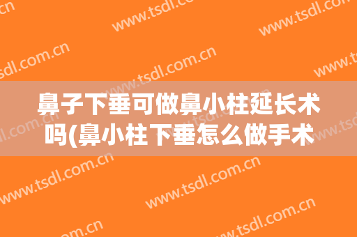 鼻子下垂可做鼻小柱延长术吗(鼻小柱下垂怎么做手术)