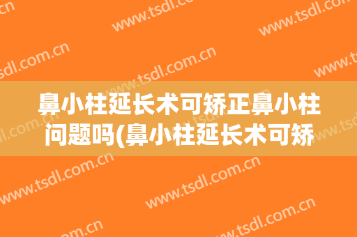 鼻小柱延长术可矫正鼻小柱问题吗(鼻小柱延长术可矫正鼻小柱问题吗视频)