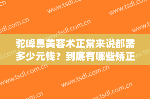 驼峰鼻美容术正常来说都需多少元钱？到底有哪些矫正方案？(驼峰鼻矫正是大手术吗)