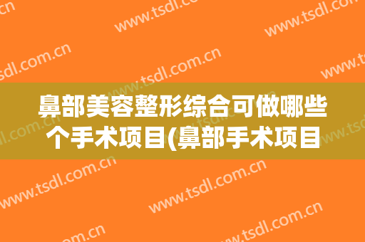 鼻部美容整形综合可做哪些个手术项目(鼻部手术项目有哪些)