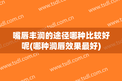 嘴唇丰润的途径哪种比较好呢(哪种润唇效果最好)