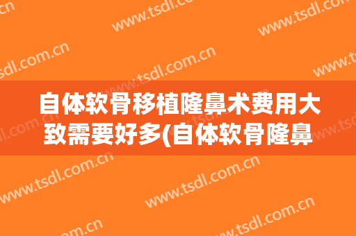 自体软骨移植隆鼻术费用大致需要好多(自体软骨隆鼻需要多少钱)
