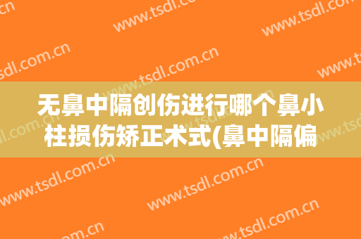 无鼻中隔创伤进行哪个鼻小柱损伤矫正术式(鼻中隔偏曲手术创伤大吗)