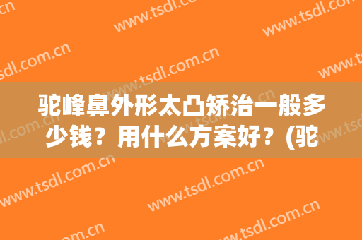 驼峰鼻外形太凸矫治一般多少钱？用什么方案好？(驼峰鼻矫正术)