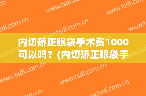 内切矫正眼袋手术费1000可以吗？(内切矫正眼袋手术费1000可以吗多少钱)