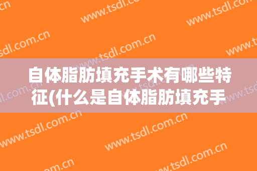自体脂肪填充手术有哪些特征(什么是自体脂肪填充手术)