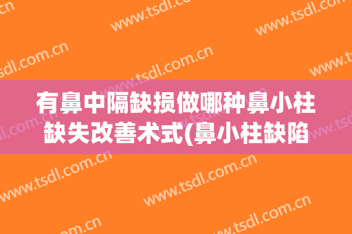 有鼻中隔缺损做哪种鼻小柱缺失改善术式(鼻小柱缺陷)