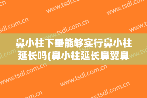 鼻小柱下垂能够实行鼻小柱延长吗(鼻小柱延长鼻翼鼻头会缩小吗)