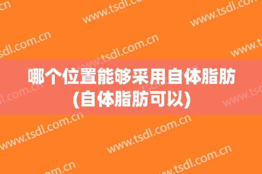 哪个位置能够采用自体脂肪(自体脂肪可以)