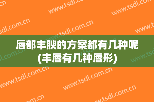 唇部丰腴的方案都有几种呢(丰唇有几种唇形)