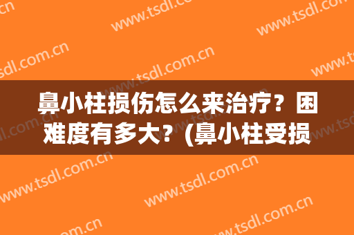 鼻小柱损伤怎么来治疗？困难度有多大？(鼻小柱受损怎么办)