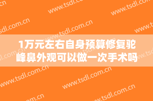 1万元左右自身预算修复驼峰鼻外观可以做一次手术吗(驼峰鼻手术后的亲身经历)