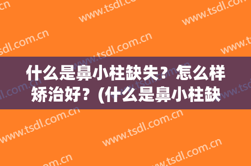什么是鼻小柱缺失？怎么样矫治好？(什么是鼻小柱缺失?怎么样矫治好呢)